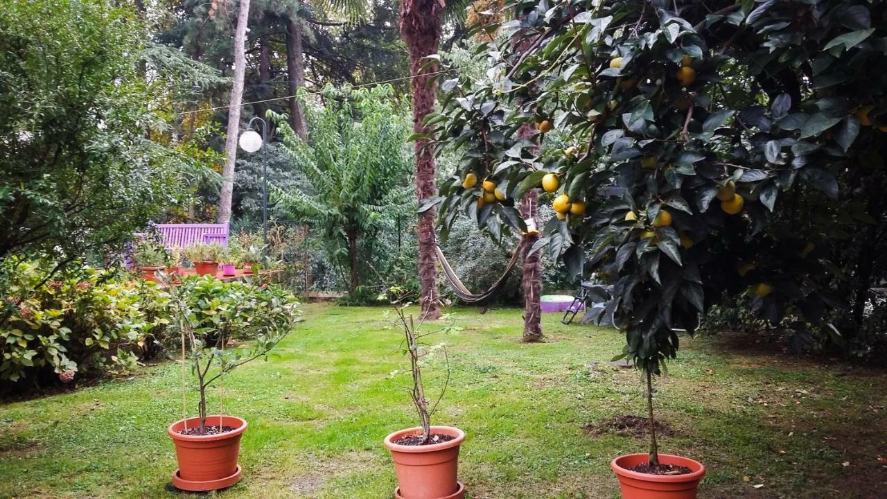 Adda River Casa Vacanza Калолциокорте Екстериор снимка